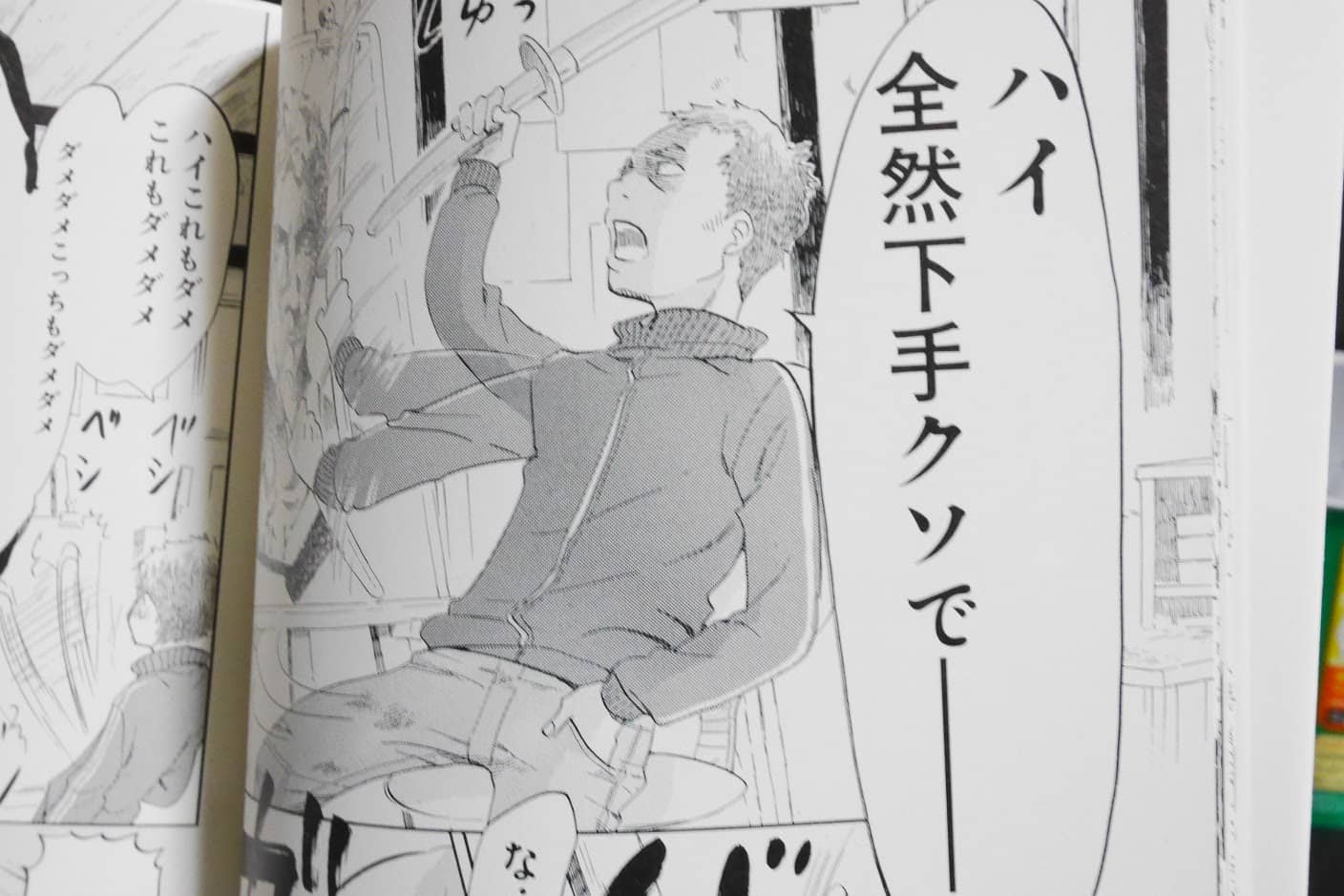 かくかくしかじかより-日高先生1