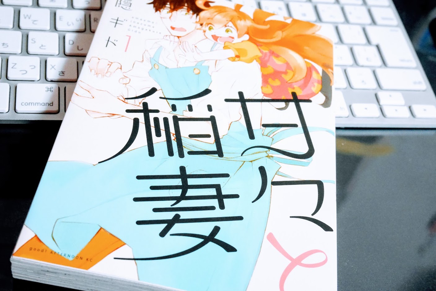 甘々と稲妻 表紙 02